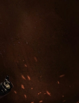 A0579 - 莉莉丝崛起-第一季 Build.12279014-1.0.2S+DLC 多结局免安装STEAM中文版[2.51GB]