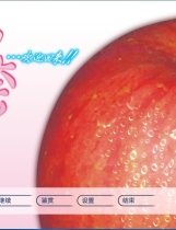 加奈…欢迎回来!! 加奈…おかえり！！ 汉化硬盘版【454】