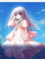 eden mini with Plus+Mosaic 高质量精简中文汉化硬盘版【744】